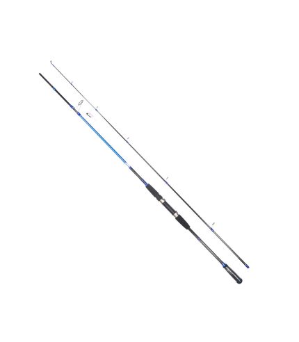 Blue Line Sea Bass 300MH